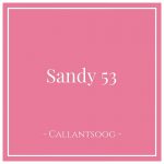 Sandy 53, Callantsoog, Netherlands