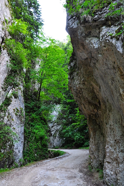 Transylvania - Zarnesti Gorge 