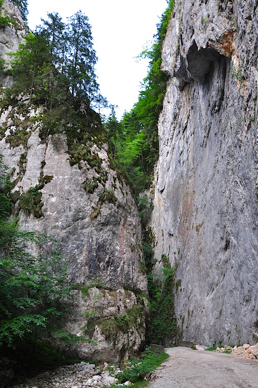Transylvania - Zarnesti Gorge 