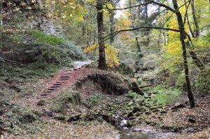 Out and about on the Mullerthal Trail, Luxembourg