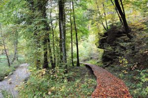 Hiking the Mullerthal Trail, Luxembourg