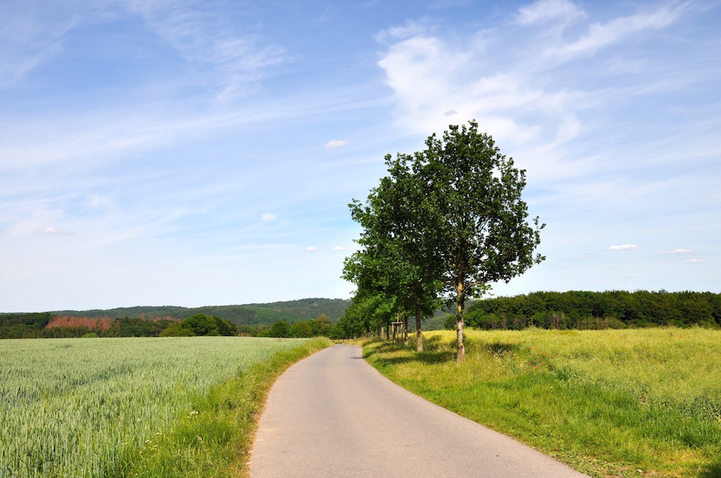Walk in Solingen-Gräfrath