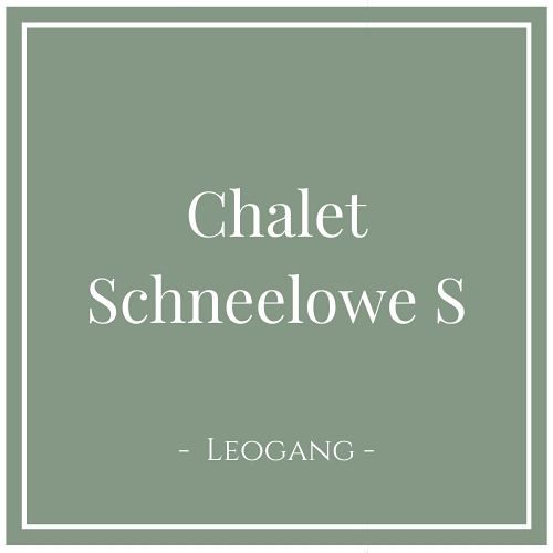 Chalet Schneelowe S, Leogang, Österreich 859885
