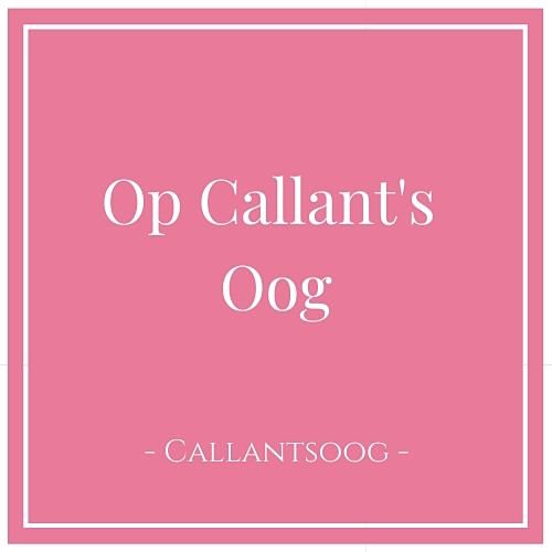 Op Callant's Oog, Callantsoog, Holland