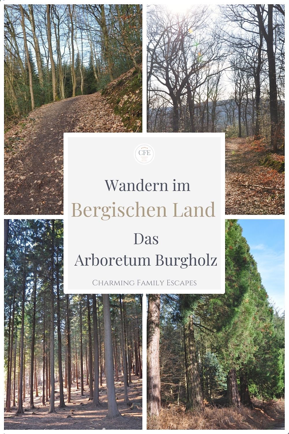 Wandern im Bergischen Land - Das Arboretum Burgholz