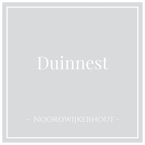 Hotel Icon für Duinnest, Ferienhaus in Noordwijkerhout, Niederlande