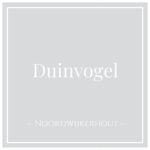 Icon for Duinvogel, holiday home in Noordwijkerhout, the Netherlands