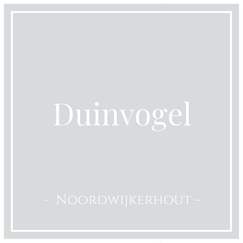 Hotel Icon für Duinvogel, Ferienhaus in Noordwijkerhout, Niederlande
