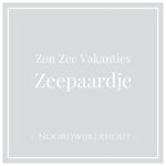 Hotel Icon for Zon Zee Vakanties Zeepaardje, holiday home in Noordwijkerhout, The Netherlands